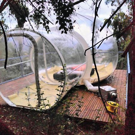 Dans Ma Bulle By C Cibeaulaos Cilaos Exterior foto