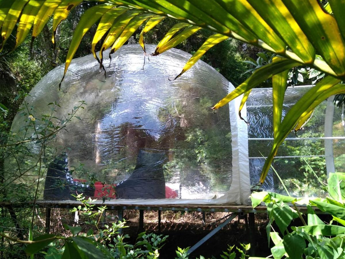 Dans Ma Bulle By C Cibeaulaos Cilaos Exterior foto