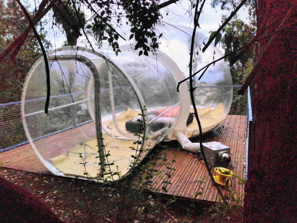 Dans Ma Bulle By C Cibeaulaos Cilaos Exterior foto